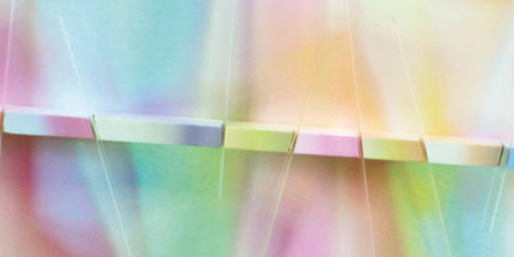 FASH IMAGE 8