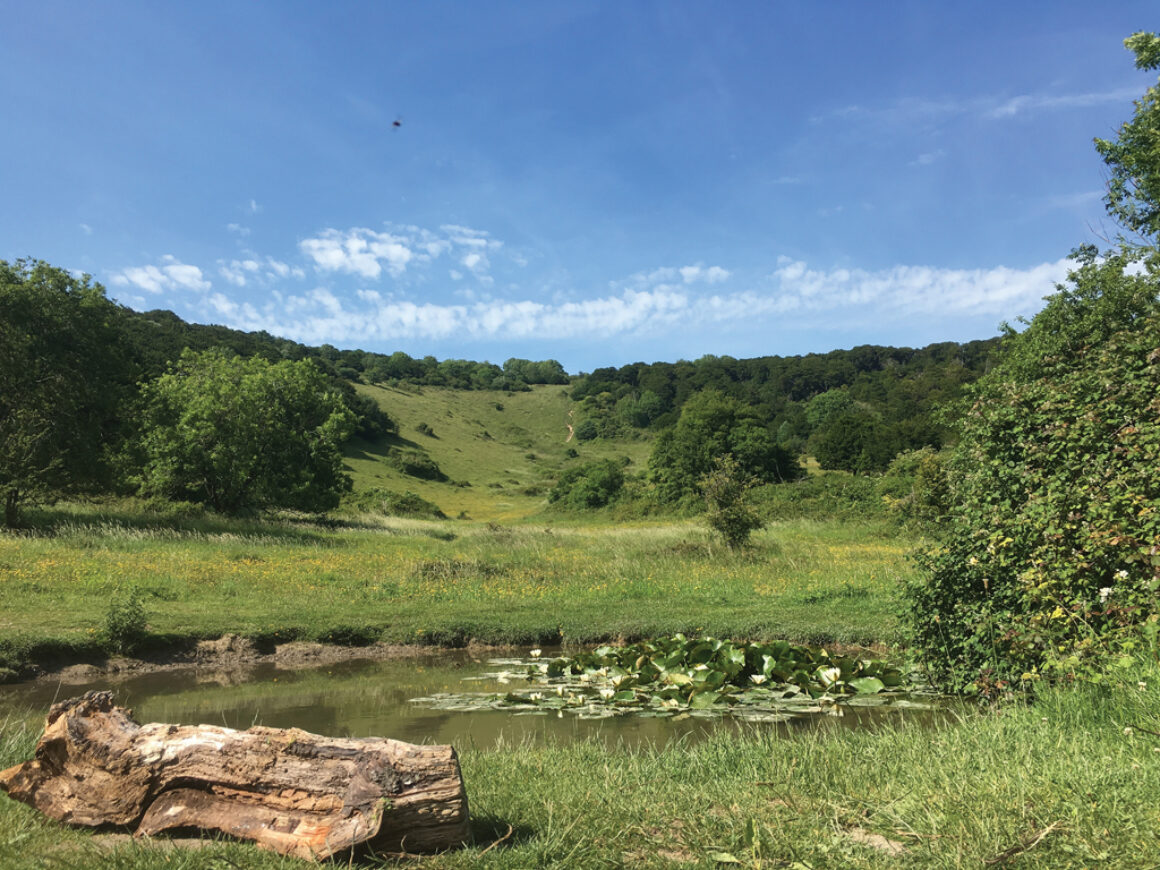 Savills Tanyard Manor 12
