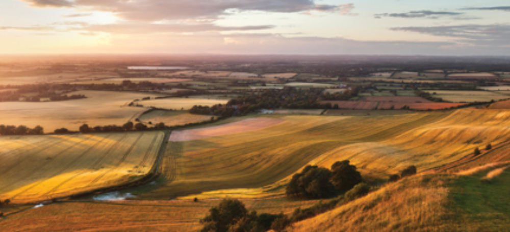 Fields of gold slide