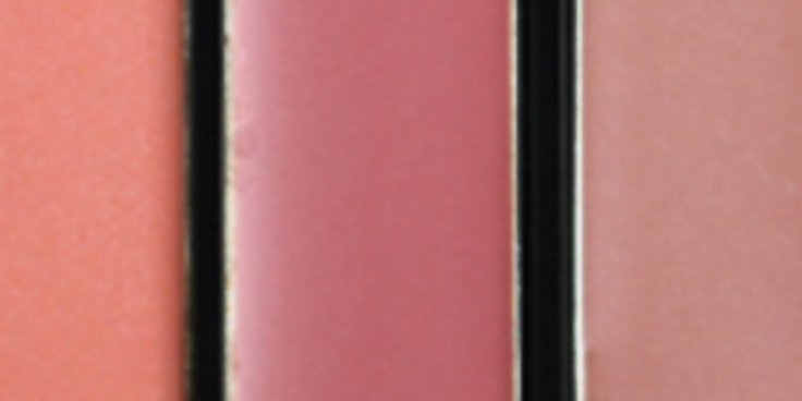 Slider color riche lip palette nude copy