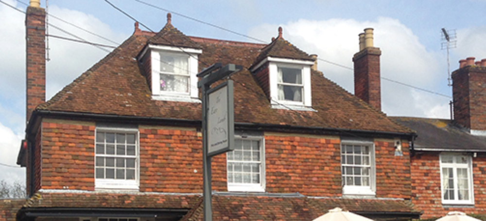 Ewe lamb banner