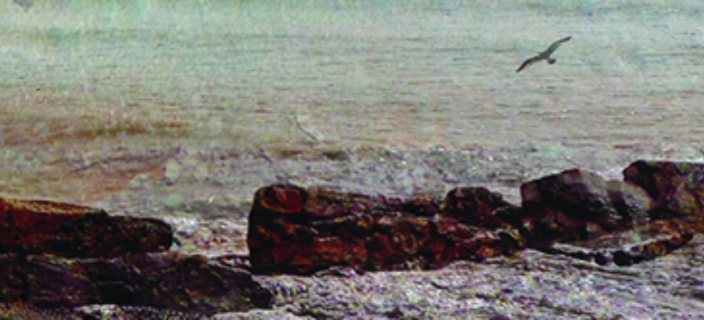 Articulate banner 1