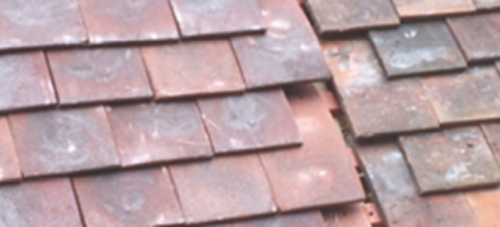 Lob banner 1