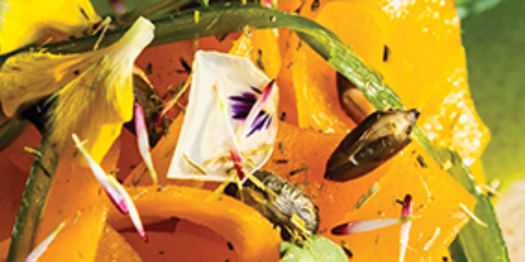 Food banner