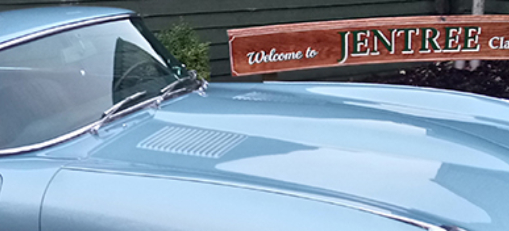 Jentree jaguar banner