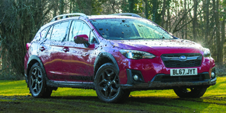 Subaru suv banner