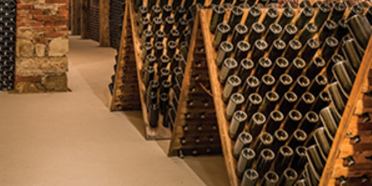 Storing wine banner