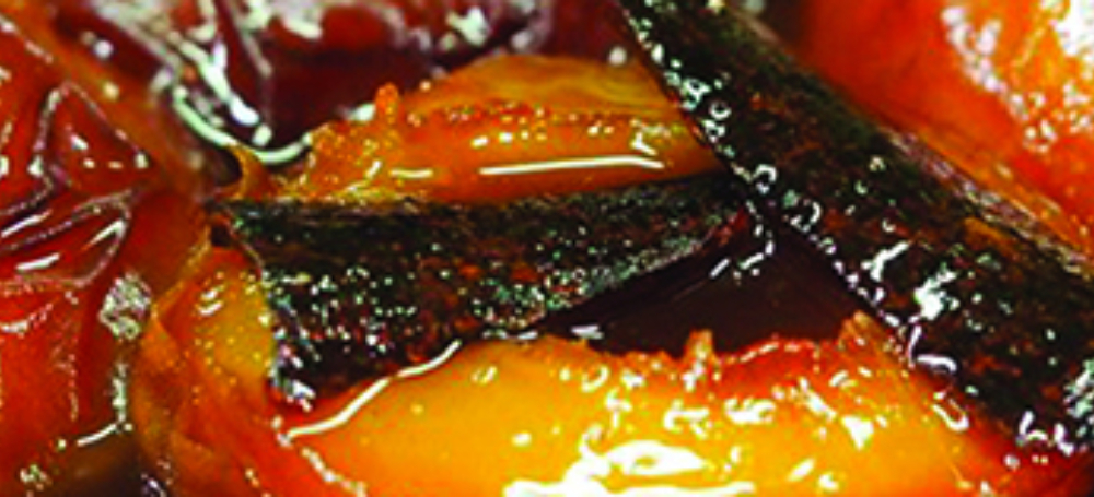 Peach tatin banner
