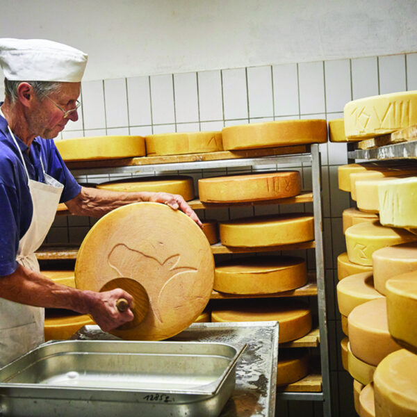 Gunther Nayer Hiasnof Cheese cellar Salzburger Land