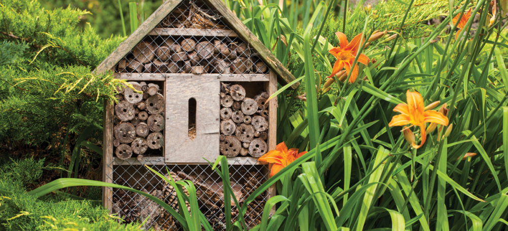 1 Bee hotel from Rowse Honey
