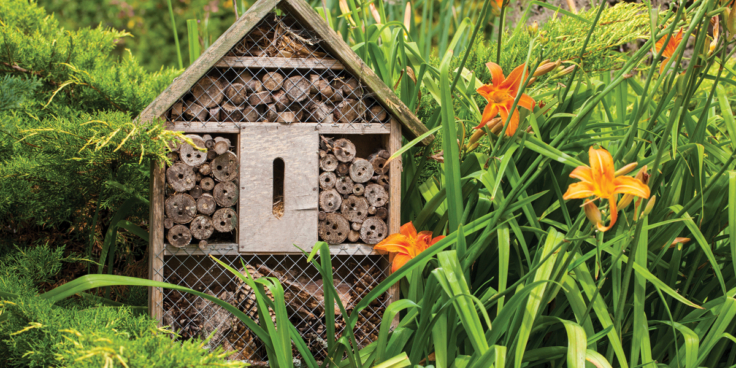 1 Bee hotel from Rowse Honey