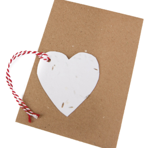 Green Planet Paper heart gift tag red string