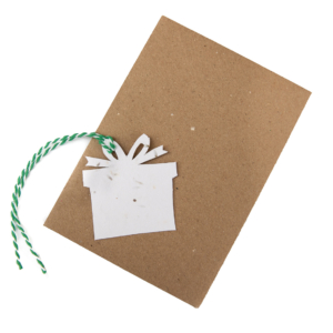 Green Planet Paper present gift tag green string