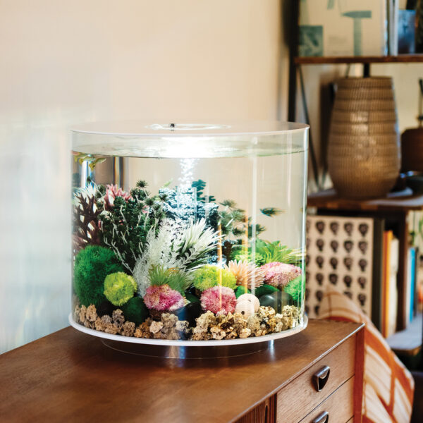 BI Balance Aquarium Unit B2 C 2021 highres 2