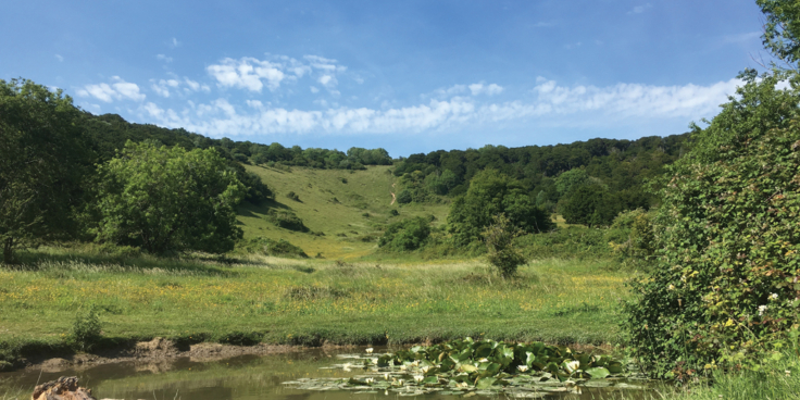 RS6792 Kingley Vale Dew Pond2