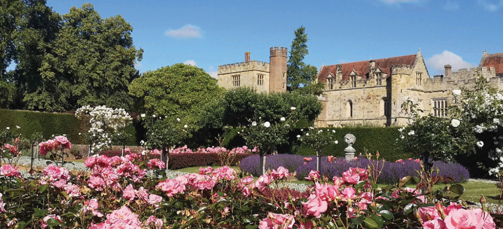 Rose Garden Penshurst Place