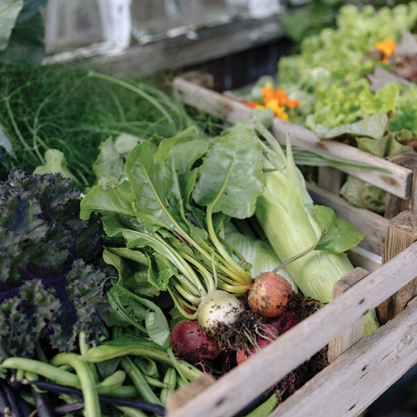 Produce table from the garden at Water Lane Maria Bell Photography