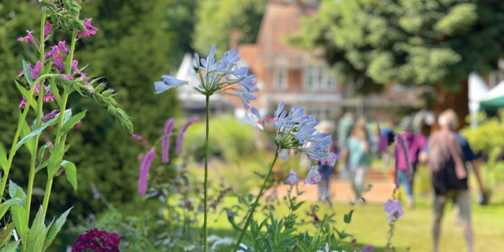 Great Comp Garden Summer Show by Vikki Rimmer