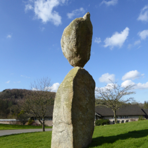 Trust in Nature at RHS Rosemoor