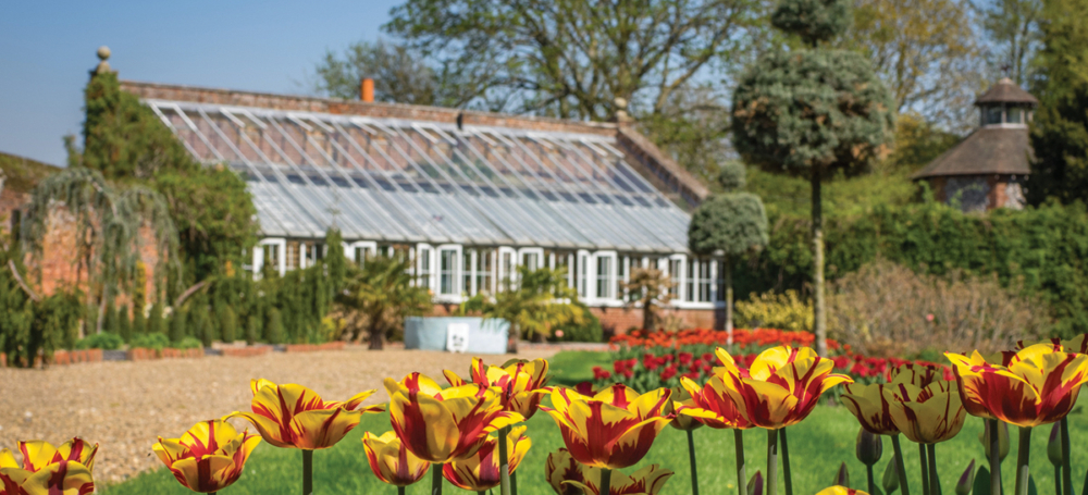 April Tulip beds long border The World Garden at Lullingstone Castle Alan Graham credit