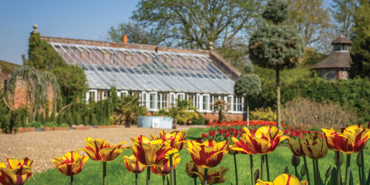 April Tulip beds long border The World Garden at Lullingstone Castle Alan Graham credit