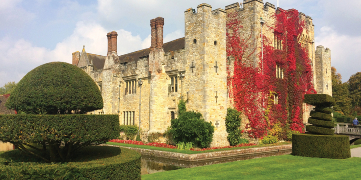 Boston ivy flaming bright red at Hever Castle Gardens