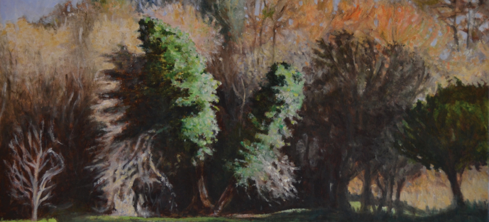 60 x 45 Winter trees