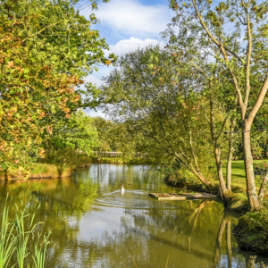 Savills Great Engeham Manor 19