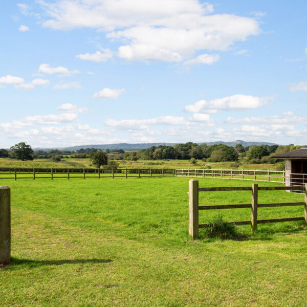 Savills Bines Farm Barn 4