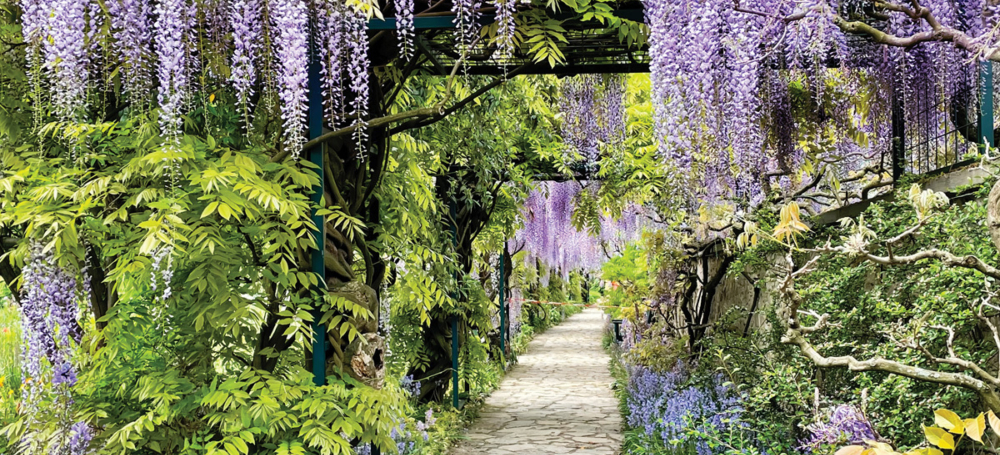 Adobe Stock 435610734