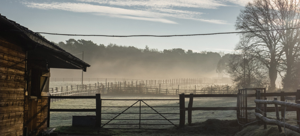 Adobe Stock 315146791