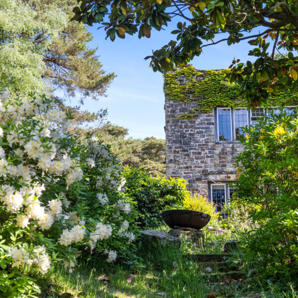 Durrant House Savills 15