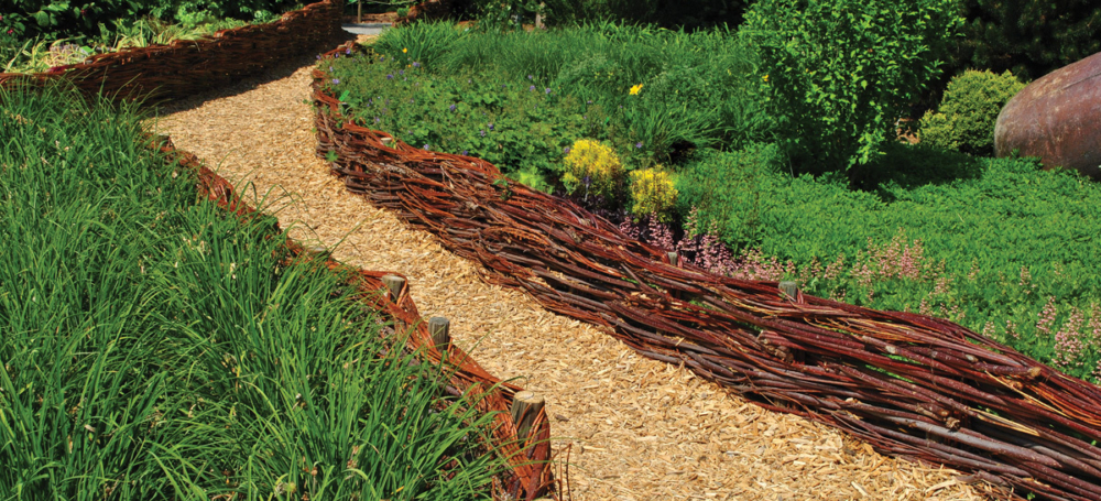 Adobe Stock 208679575