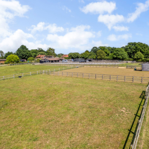 Guildenhurst Stud Savills 13