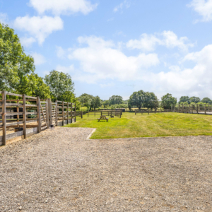 Guildenhurst Stud Savills 20
