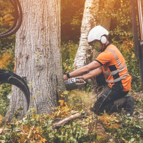 Adobe Stock 671655565