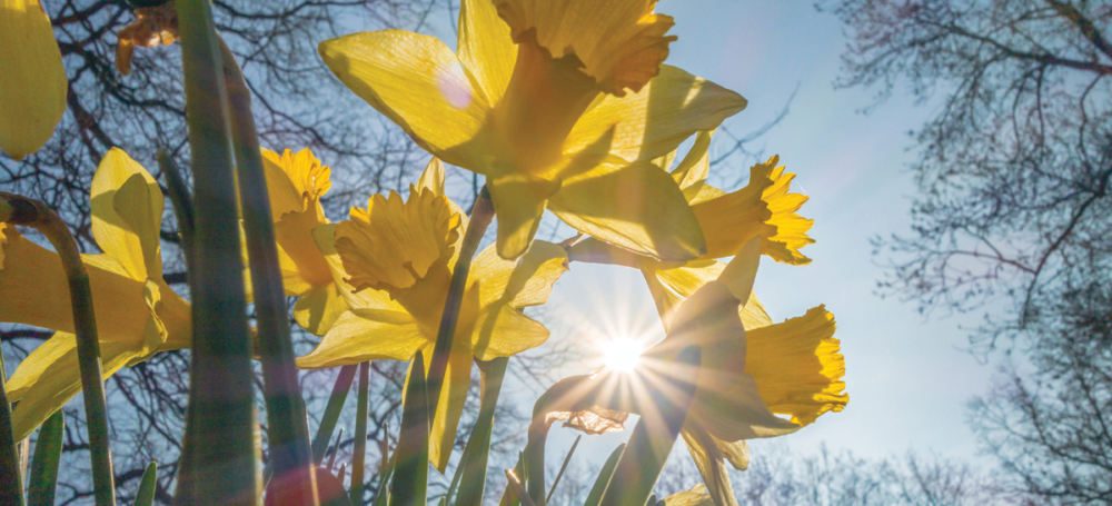 Adobe Stock 257016148