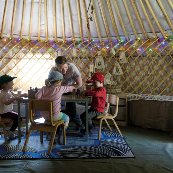 4 Somerhill saplings 01078 1