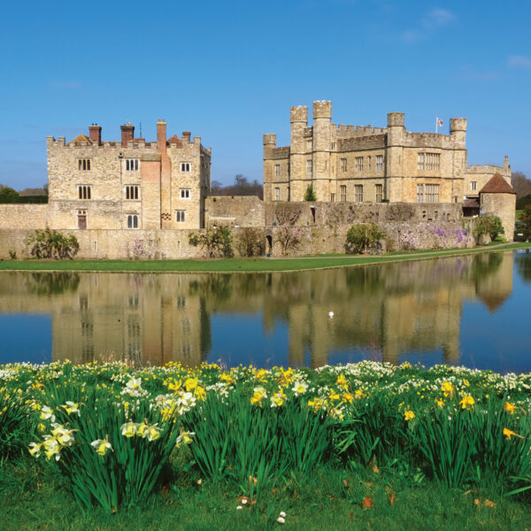 Adobe Stock 507169960